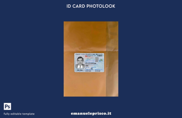 modello FRONTALE photolook della carta d'identità svizzera in stile verificato
